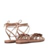 Orchid Sandal Biscuit Online
