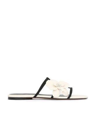 Orchid Slide Macadamia Online