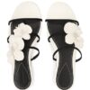 Orchid Slide Macadamia Online