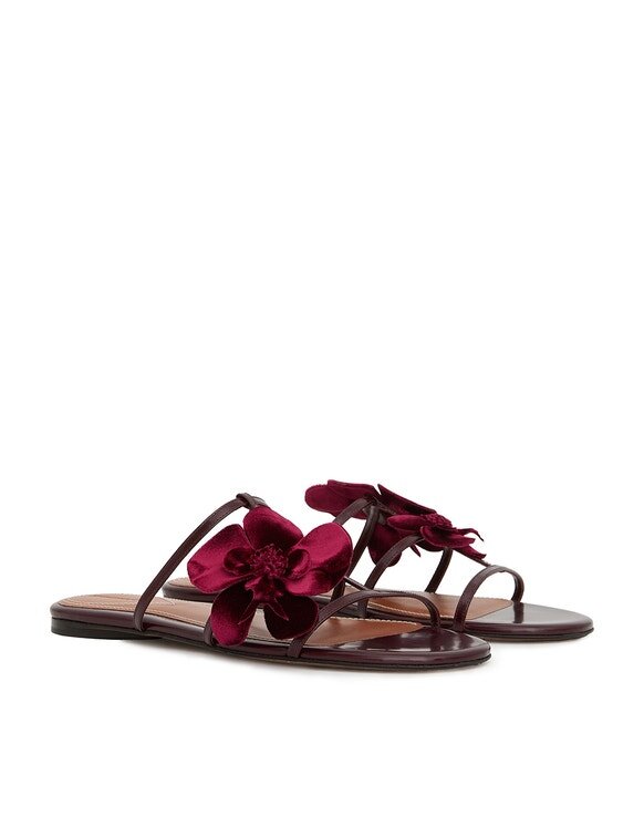 Orchid Slide Ruby Online Orchid Slide Ruby Online