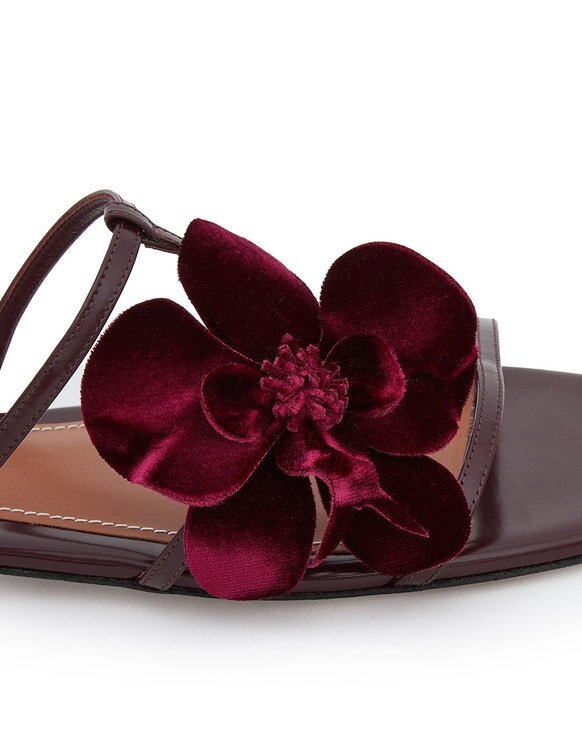 Orchid Slide Ruby Online Orchid Slide Ruby Online