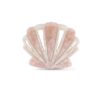 Shell Clasp Blush/Ivory Online